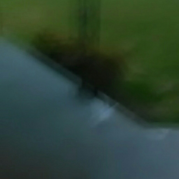 suerendyhsg79