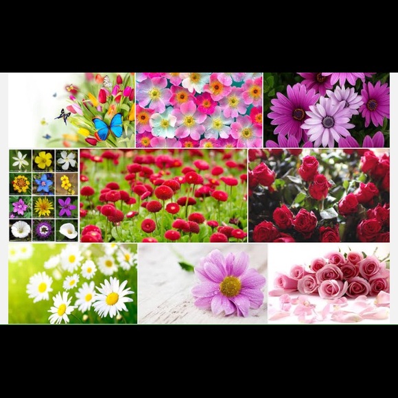 ruthflores2016
