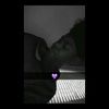 bigdaddybriii