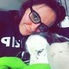 allycat03