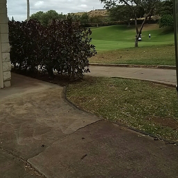 skaapuni