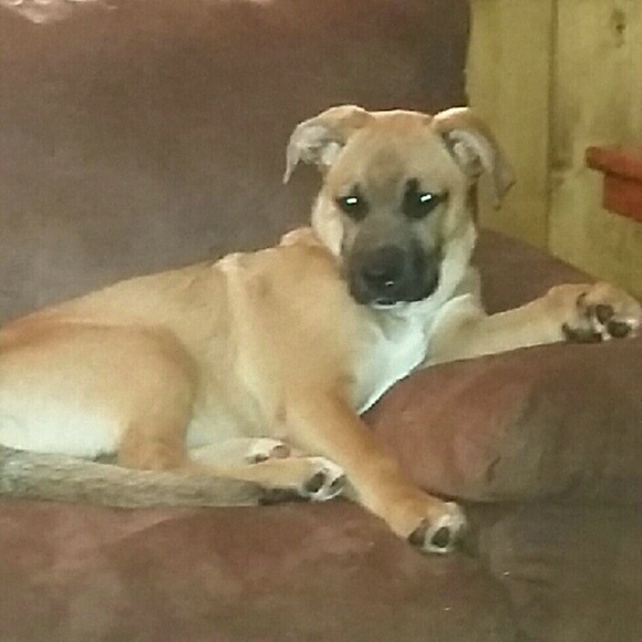 nyla0106