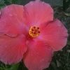 abreeze2