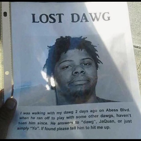 lostdawg