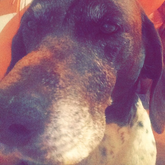 baileyzzz