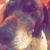baileyzzz