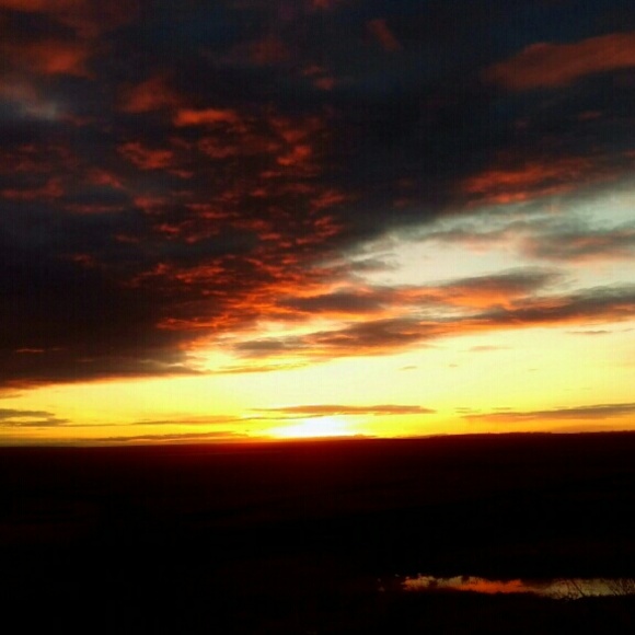 panikaq