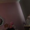 kimmy_trapp