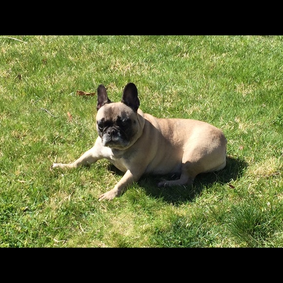 darla0315