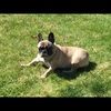 darla0315