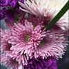 steph_riesgraf
