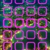 amit6886