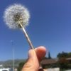 tien_pham1671
