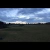 hollifieldt