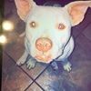 paytonruby02