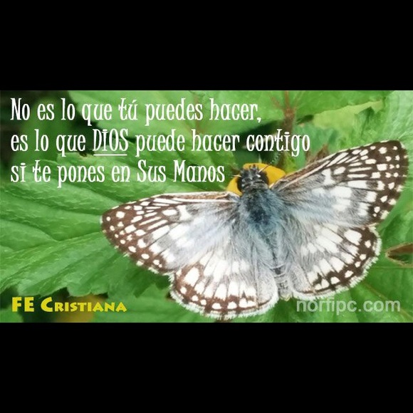 tatisgarcia
