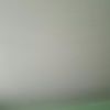 yarirarosario