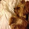julie070504