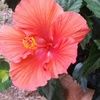 cindywilliams28