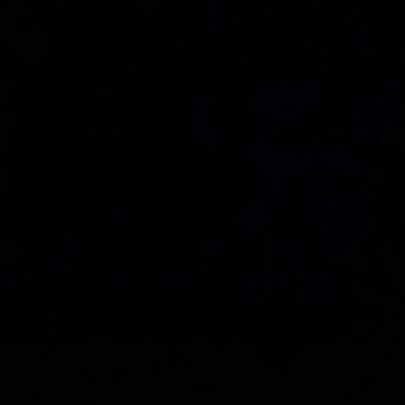 lashunn01
