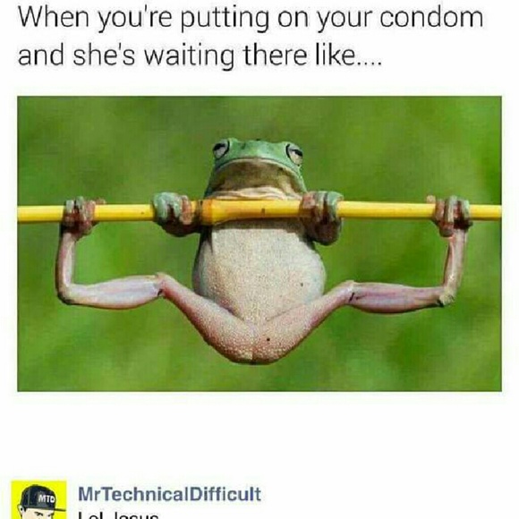 tareynt