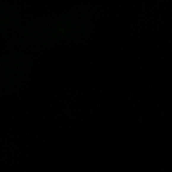 michele4566