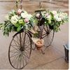 ajwilson0427