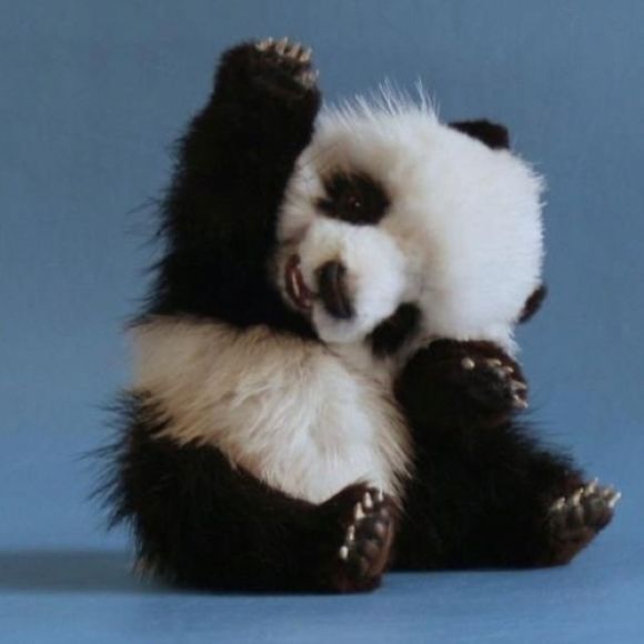 jigglypandabear