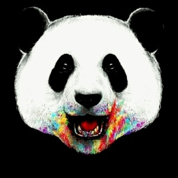 pandadsr50