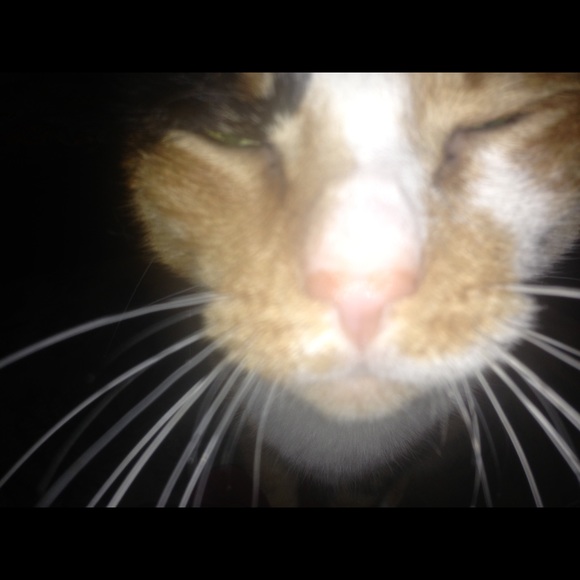bradyboy1