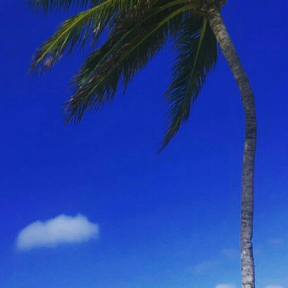 verimilu