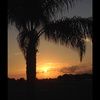 loree_phillips