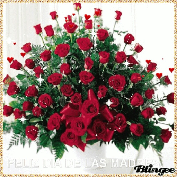 amirany