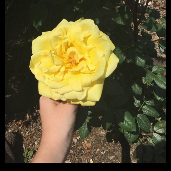 kdapp0404