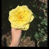 kdapp0404