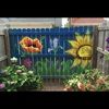 dlinyard