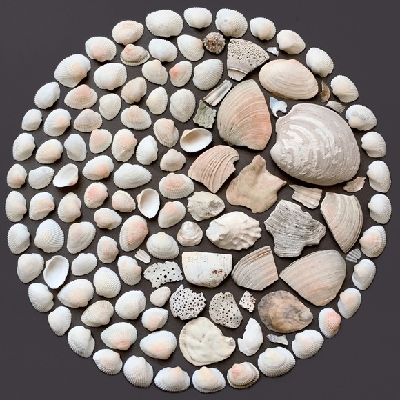 salvage_design