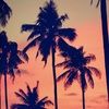 castawayxox13