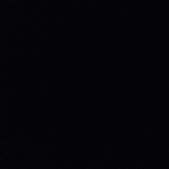 kt1231