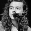 harrystyeldks