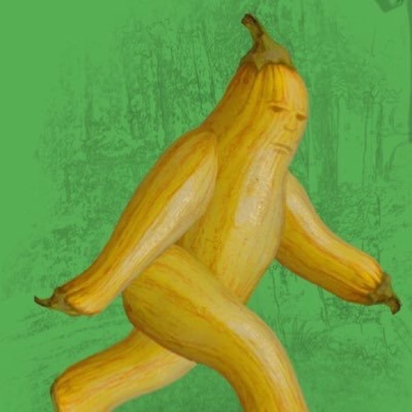 mrbuonacore
