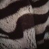sept0905