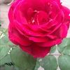 angye_chavez27