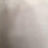 andyncello1