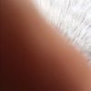 mialia9