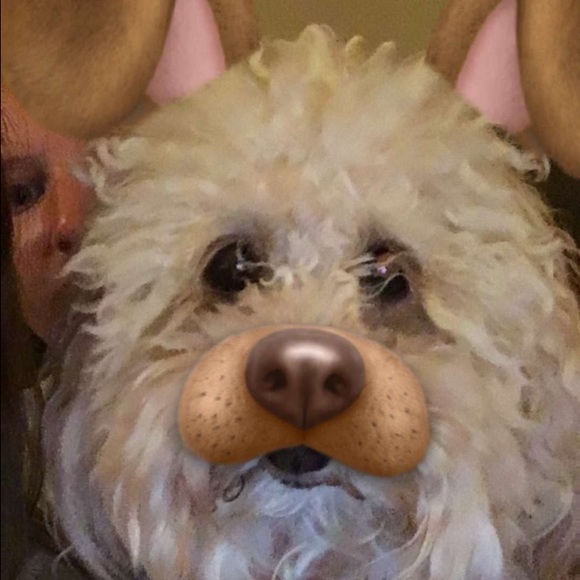 jtbrooks1
