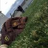 ty_dilks35