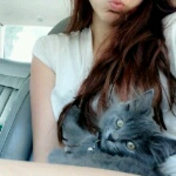 lovelykitten
