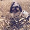 fluffer2