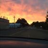 skylardouvier99